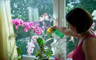 Материалы, необходимые для изготовления орхидеи